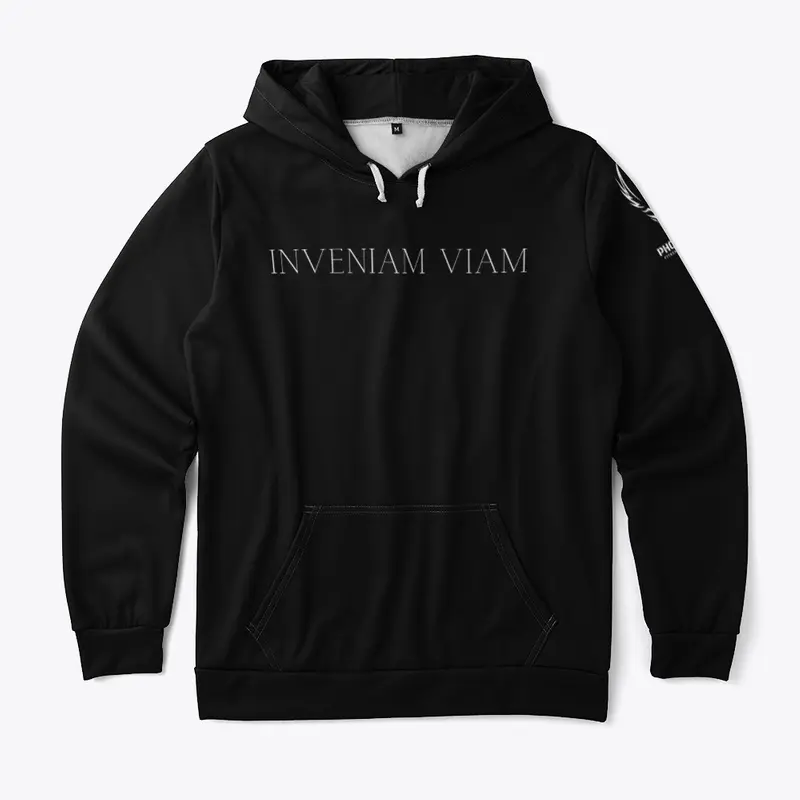 INVENIAM VIAM